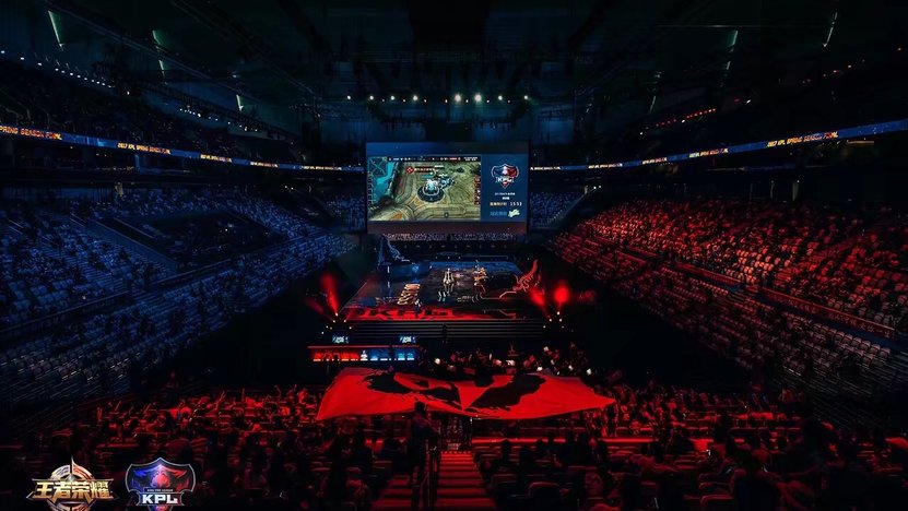 保持高度专 保持高度专